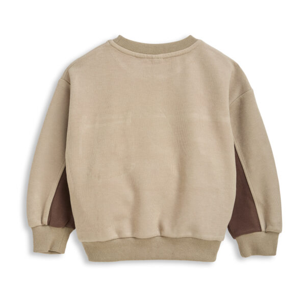 sweatshirts for kid